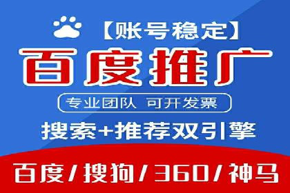 成功企业SEM竞价代运营案例研究